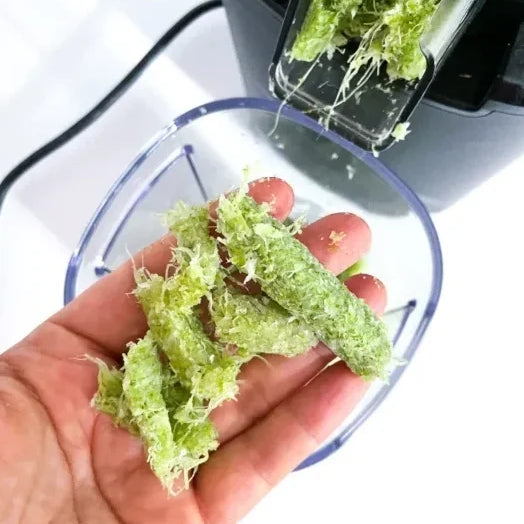 Apa yang harus dilakukan dengan Pulp